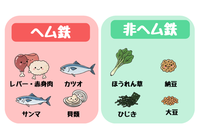 食品に含まれる2種類の鉄を比較した図。左側はヘム鉄で、レバーや赤身の肉、魚介類などの動物性食品が描かれている。右側は非ヘム鉄で、ほうれん草や小松菜、納豆、大豆、ひじきなどの植物性食品が描かれている。