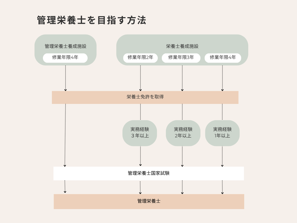 管理栄養士を目指す方法のフローチャート